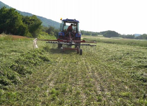 FPM 4.6m Rotary Rake P-RS460/13+